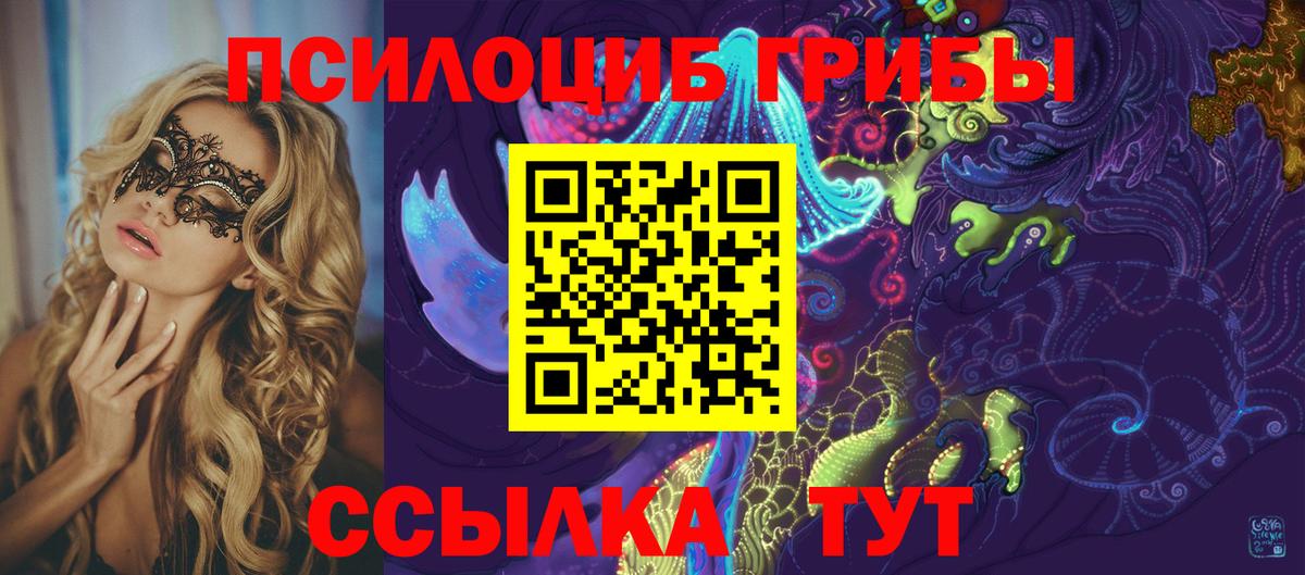 Псилоцибиновые грибы прущие грибы Кинешма